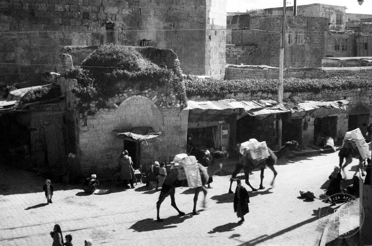 Aleppo — Street view