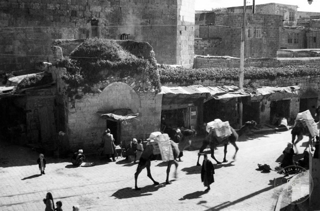 Aleppo — Street view