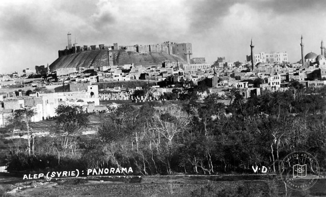 Halep — Halep Kalesi ve şehir panoraması