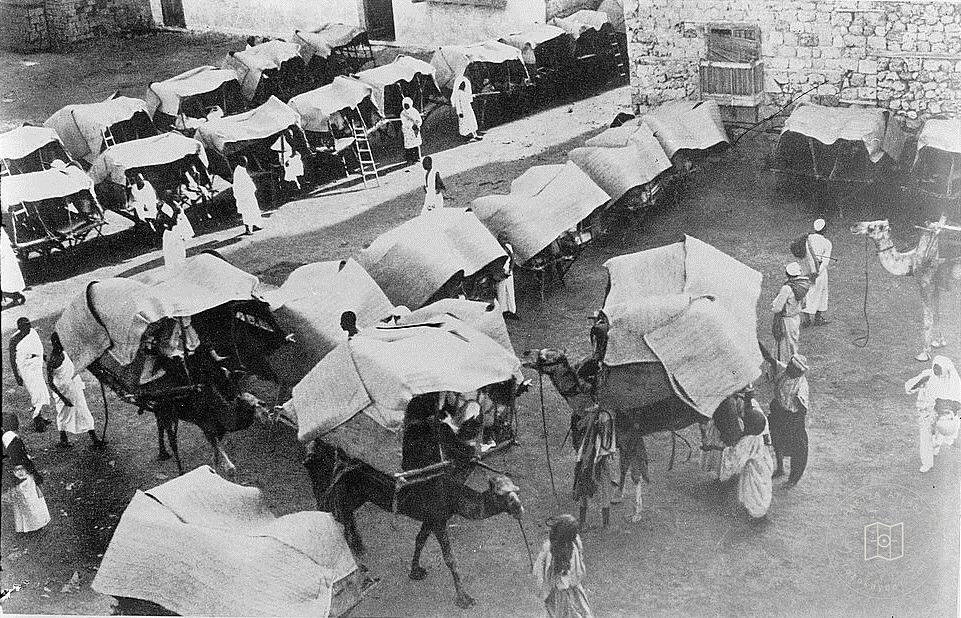 Pilgrims’ camels and tents