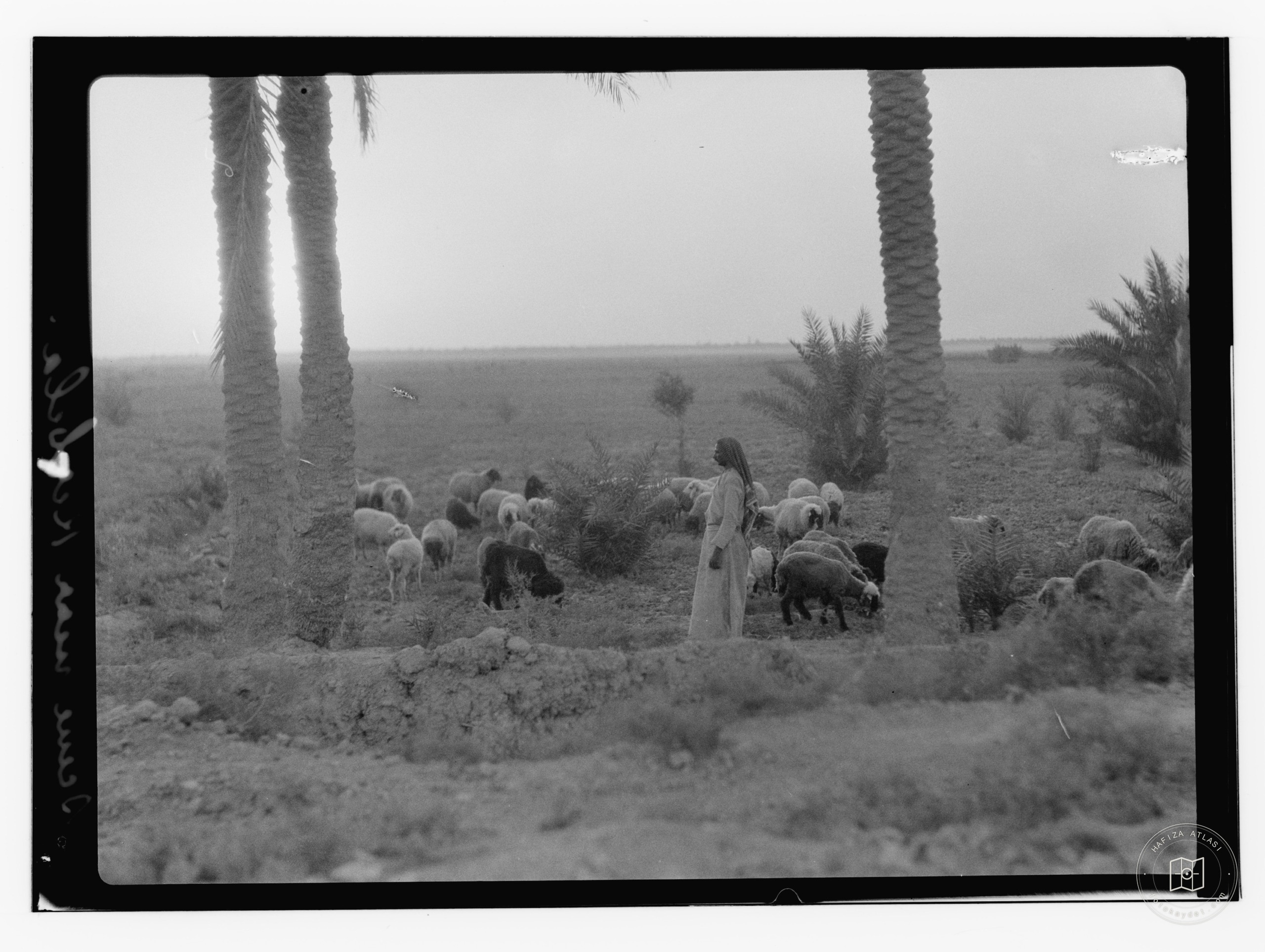 Scene near Kerbela