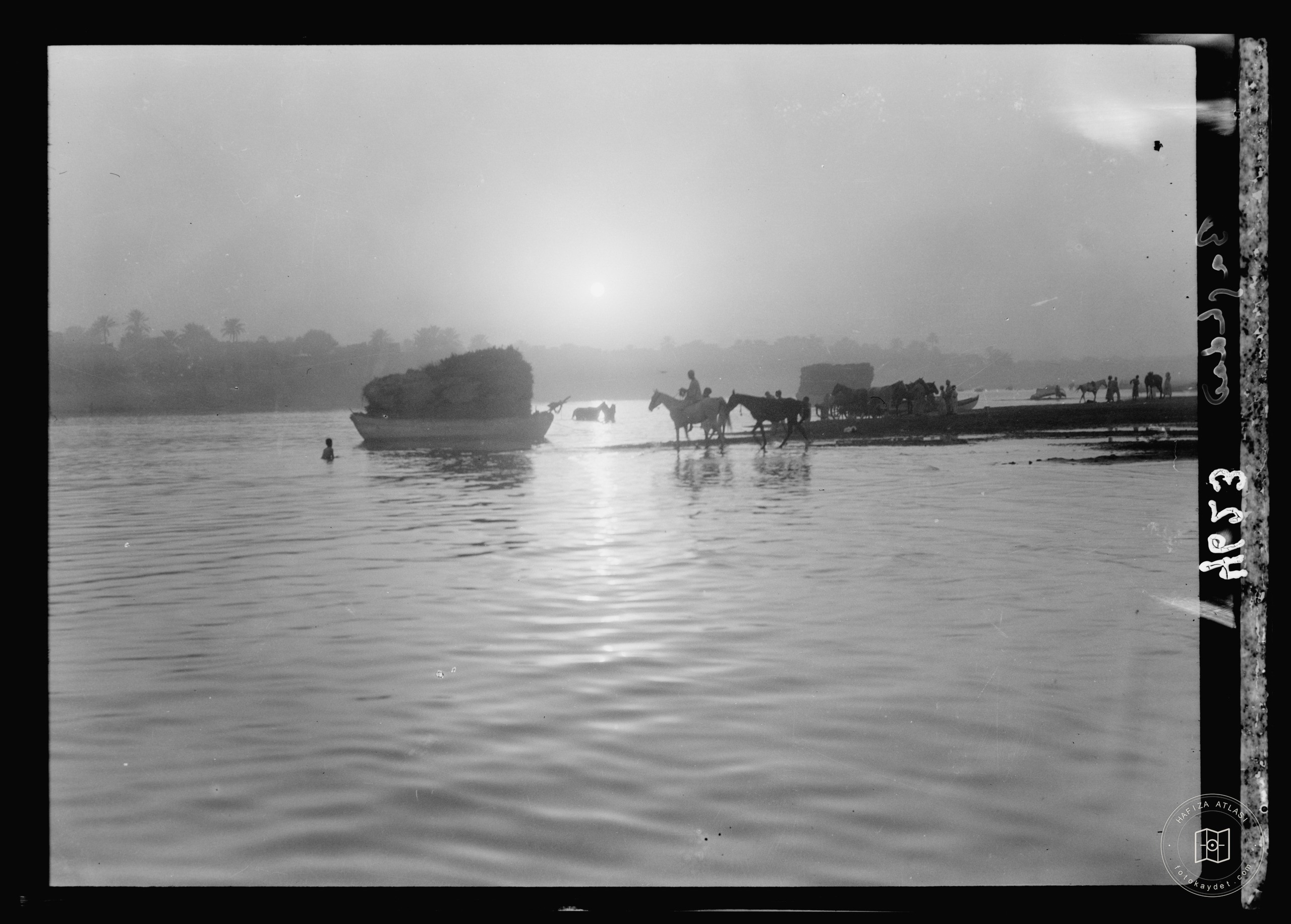 Baghdad. The Tigris. Sunset silhouette. Horses coming down to the river for a dip