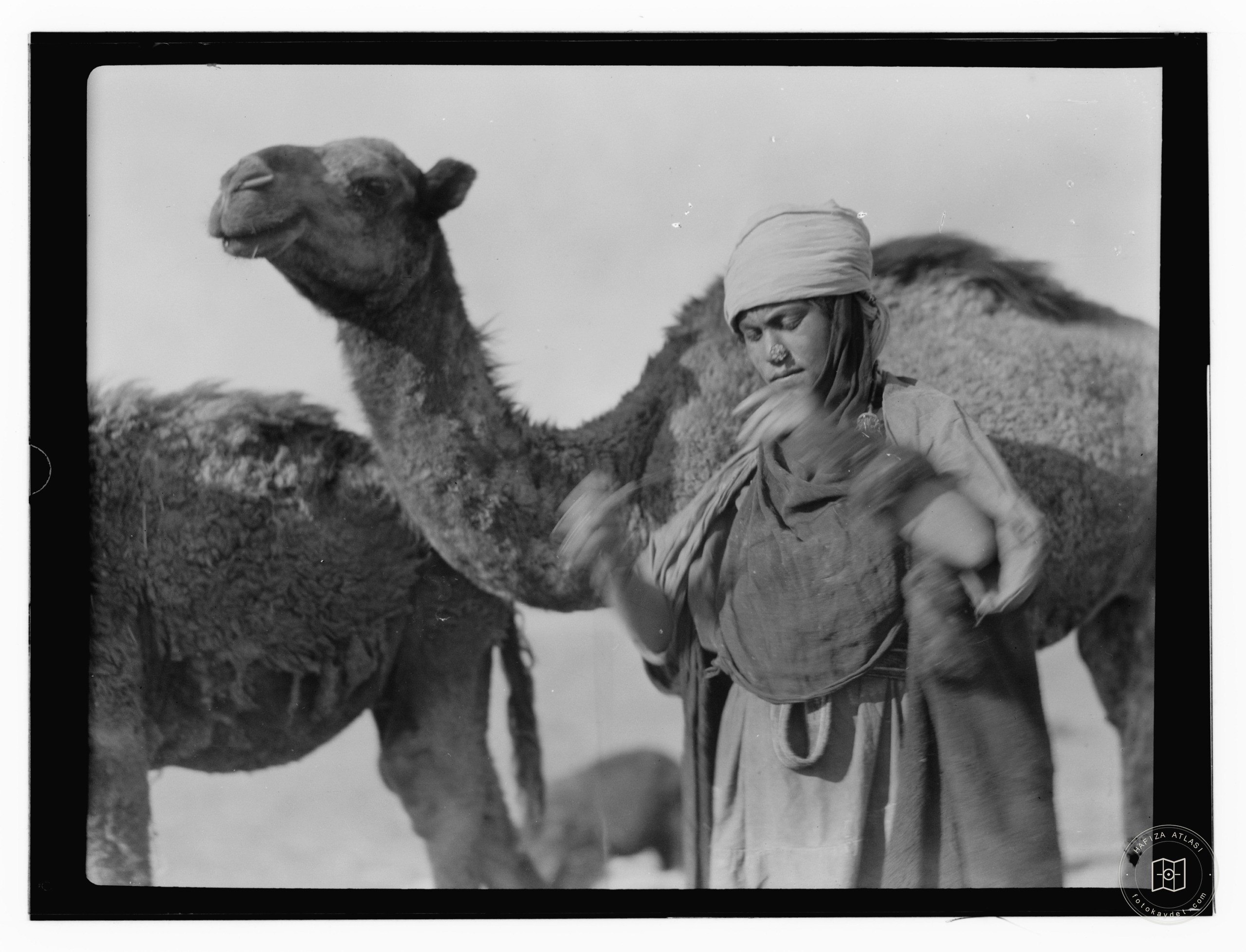 boy or girl with camels