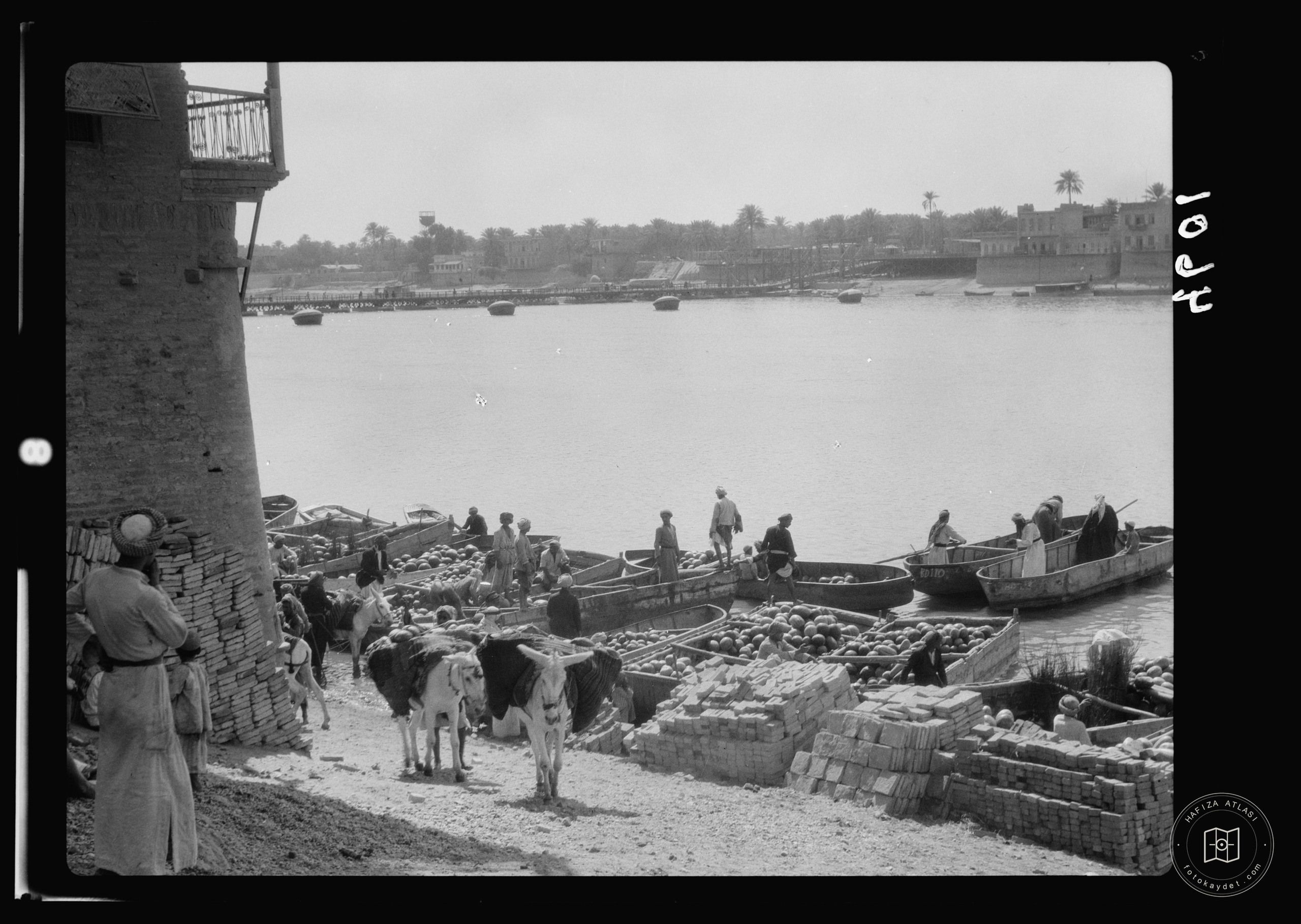 Baghdad. Melon barges. Along the Tigris banks. Fruit being unloaded and carried off by donkeys