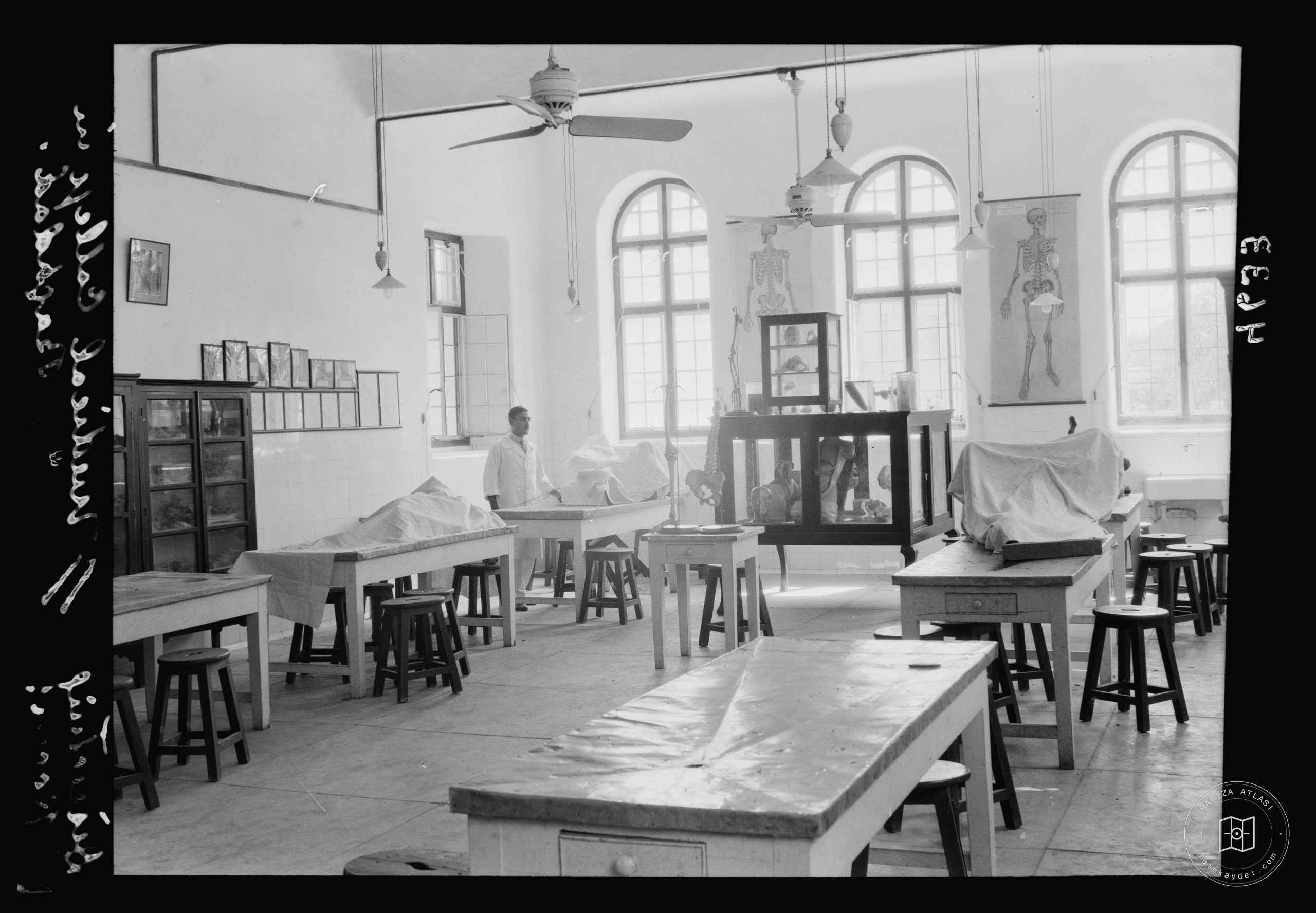 Royal College of Medicine of Iraq. Baghdad. Medical College. The dissecting room