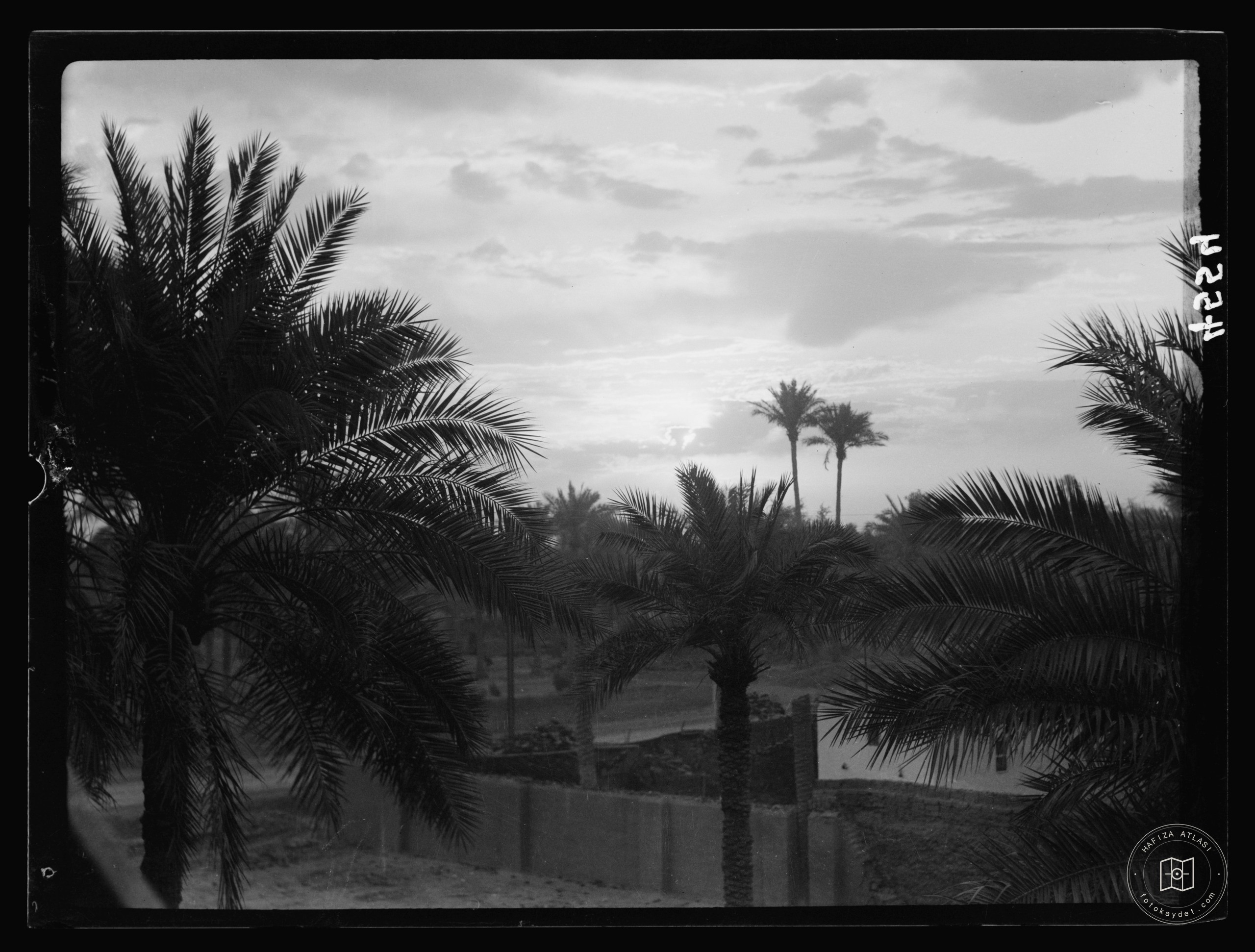 Baghdad. Sunrise scene taken from the Y.M.C.A. building