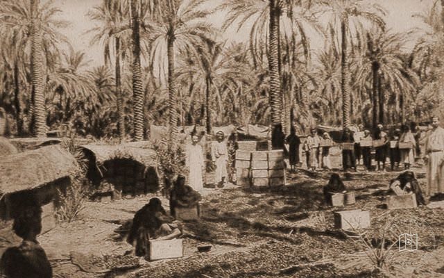 Iraq — Packing dates for export