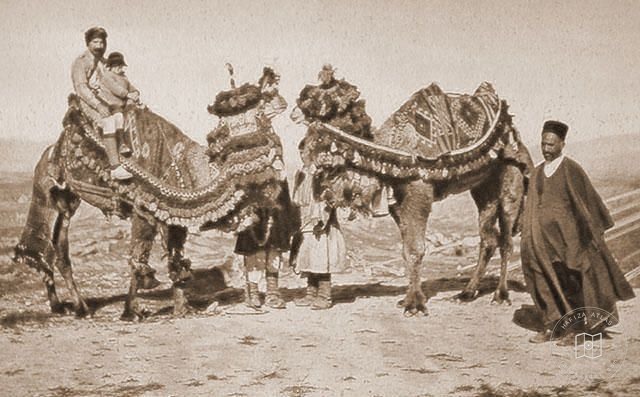 Irak — Kerbelâ yolunda develi ziyaretçiler