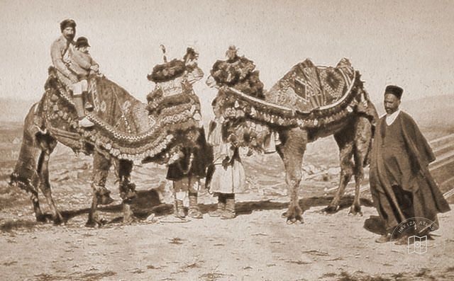 Iraq — Pilgrims with camels on the road to Karbala