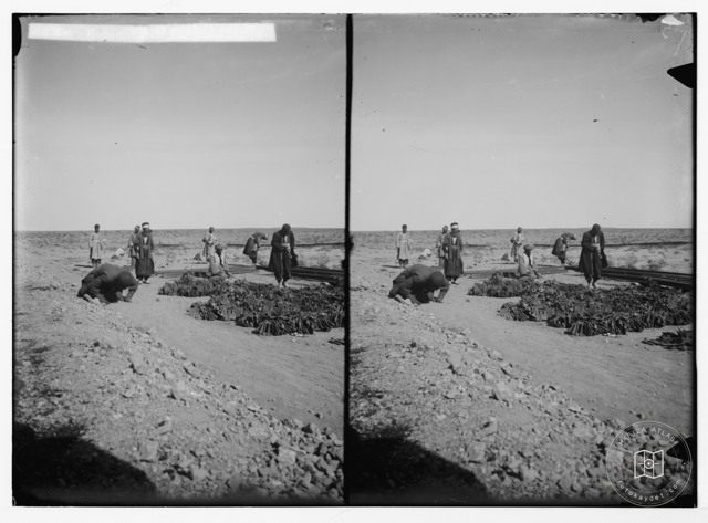 A pilgrim at prayer
