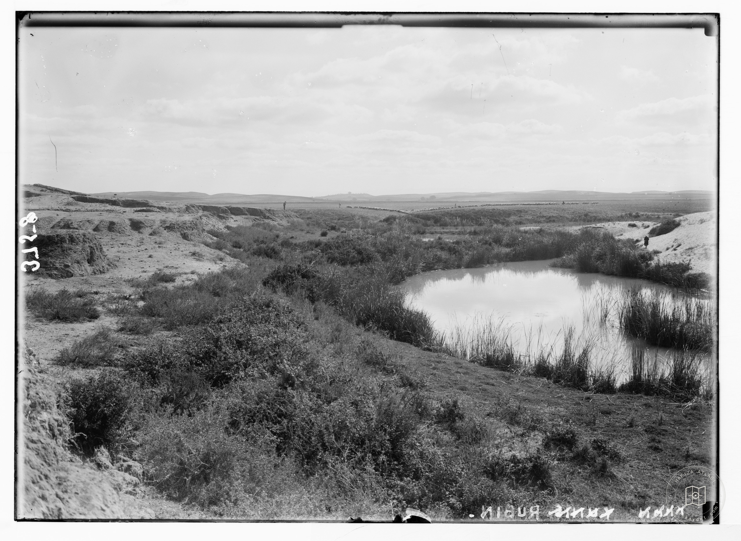 Riverside during the Nabi Rubin pilgrimage