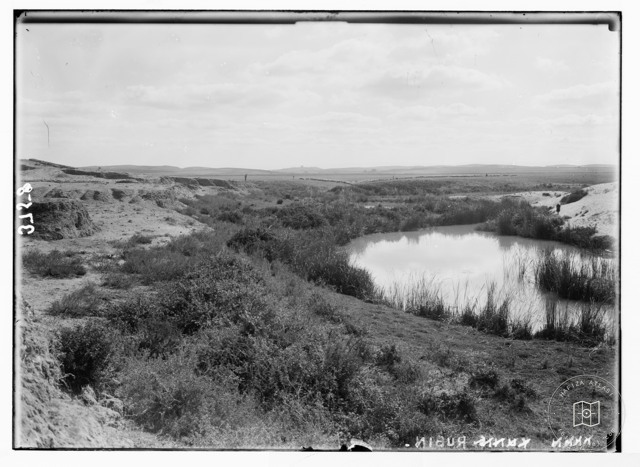 Riverside during the Nabi Rubin pilgrimage