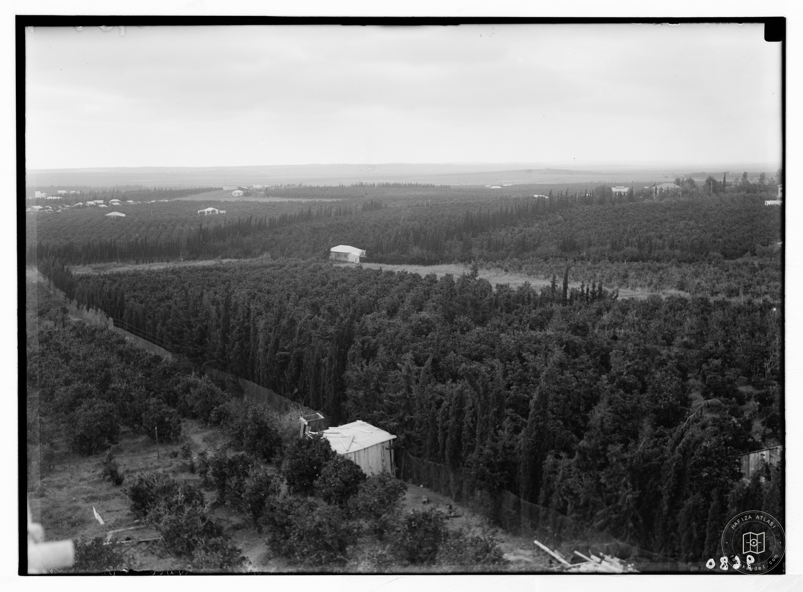 Orchards and a coastal shrine at Herzliya