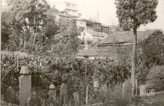 İstanbul Tekkeleri — Arşivden bir görünüm