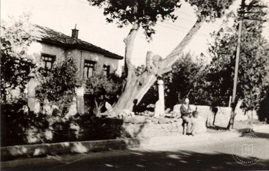 İstanbul Tekkeleri — Arşivden bir görünüm