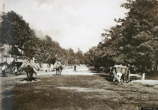 Dolmabahçe and Çırağan — Archive record