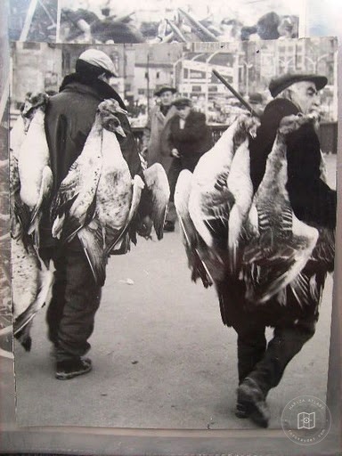 Galata Bridge — Archive image