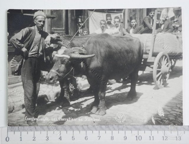 Tradespeople — View from the archive
