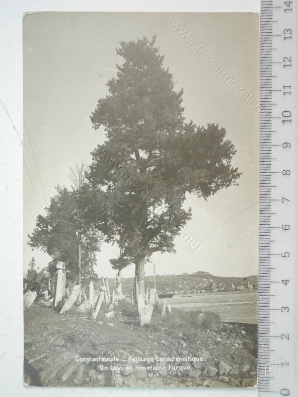 Rumeli and Anatolia Hisarler — View from the archive