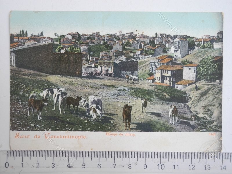 Kurtuluş