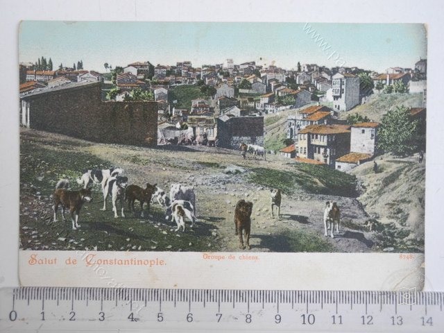 Kurtuluş