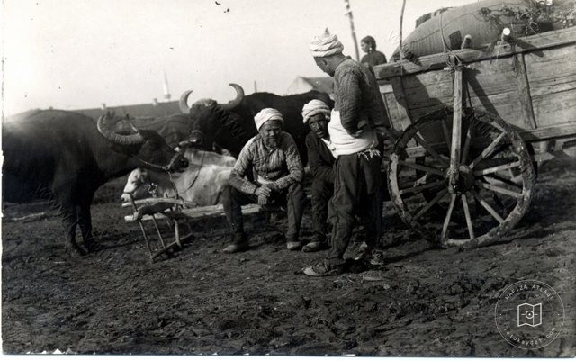 Portreler ve Yaşam — Portre ve kişi arşivi