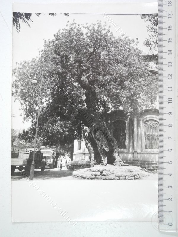 Fatih Mosque — View from the archive