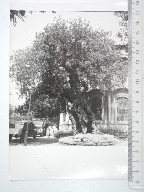 Fatih Mosque — View from the archive