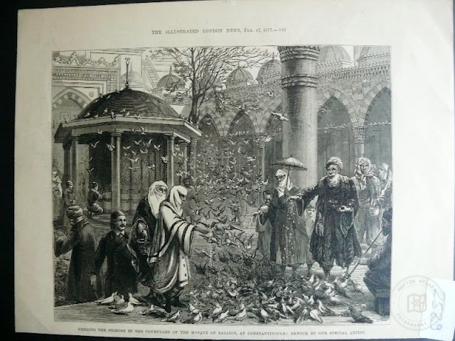 Beyazıt — Arşiv Görseli