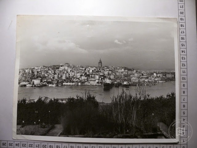 Golden Horn — Archive image