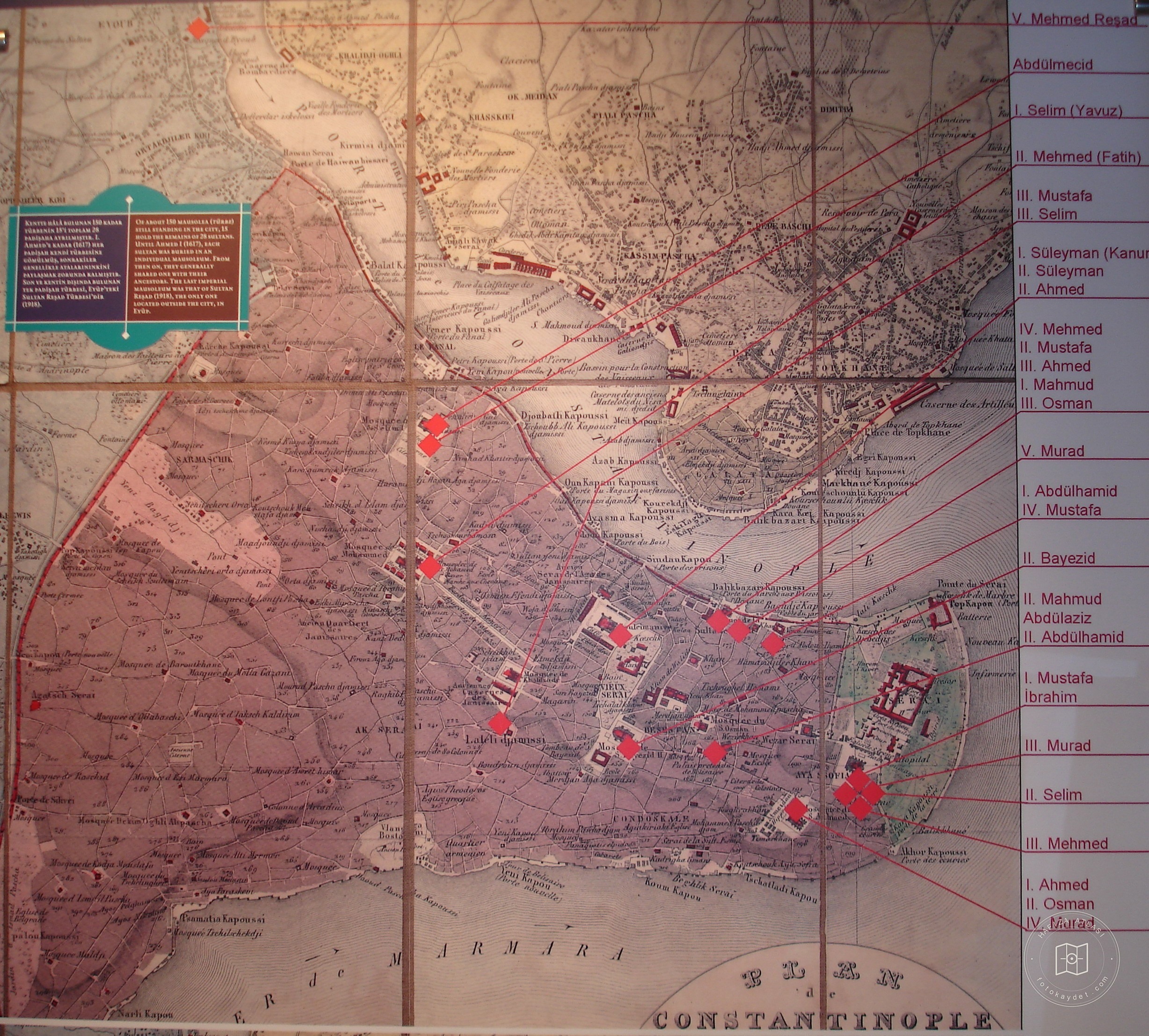 Padişah map showing woods