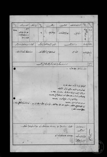 SARAÇ NATURE - Document