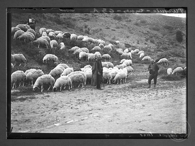 Ottoman Life: 1890–1910 — View from the archive