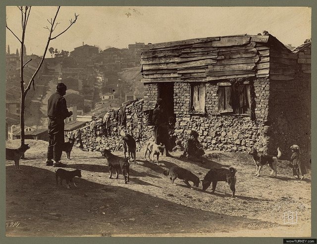 Sokaklar — Arşivden bir görünüm