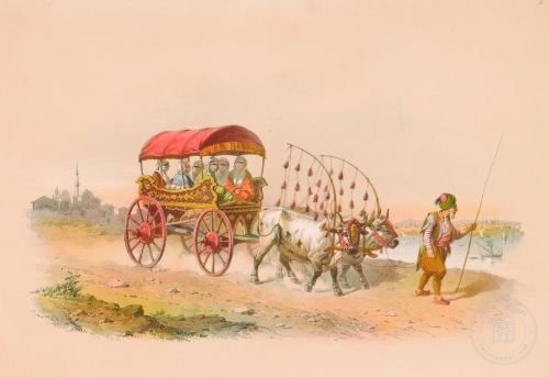 Arabacı