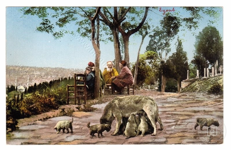 eyüp sultan — View from the archive