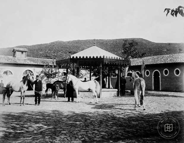 Gündelik Yaşam ve Çeşitli Görseller — Arşiv Görseli