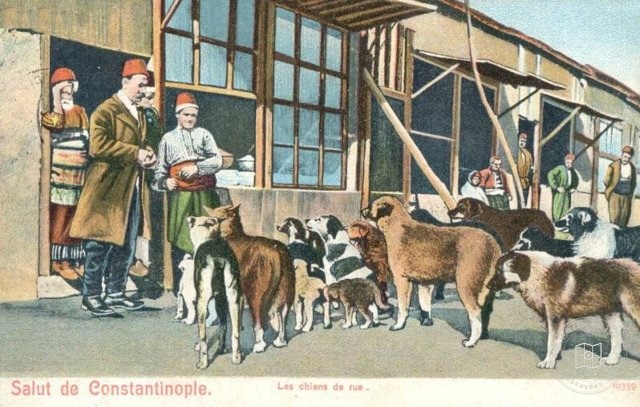 Osmanlı Halkı ve Kostümleri — Portre ve kişi arşivi