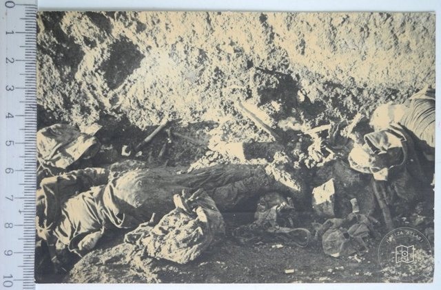 Balkan Şehidlerimiz