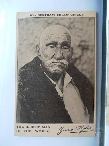 Tarihî Kişiler — Portre / Kişi Görseli