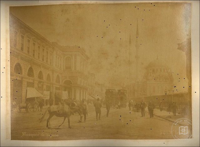 Tophane — View from the archive