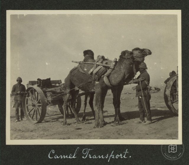 Osmanlı Döneminde Filistin — Arşiv kaydı