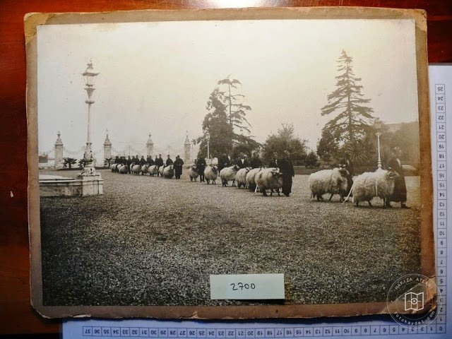 Dolmabahçe and Çırağan — Archive image