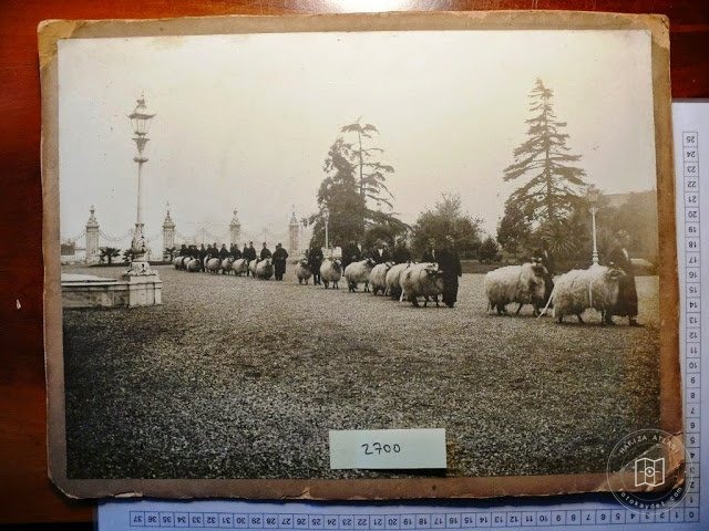 Dolmabahçe and Çırağan — Archive image