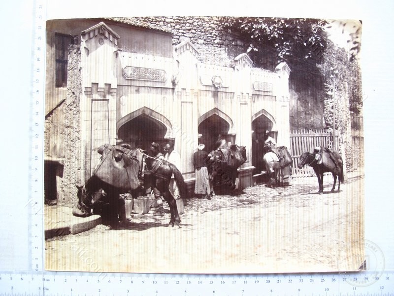 Çeşme Önünde Atlar ve İnsanlar