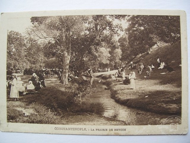 Beykoz-Mesire Yeri