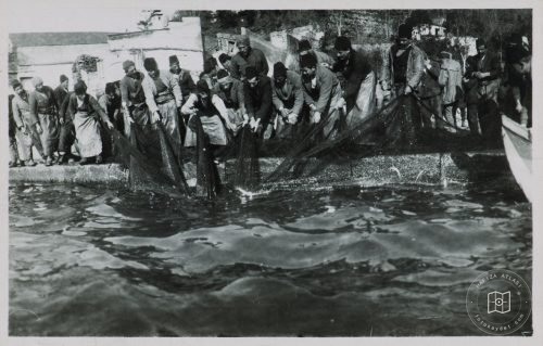 fishery