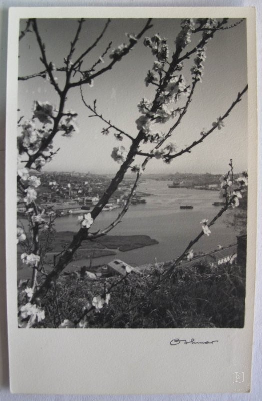 eyüp sultan — View from the archive