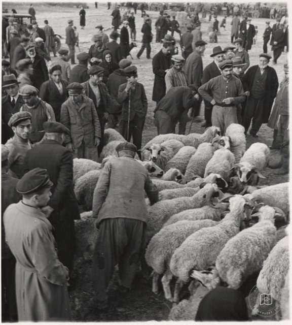 Tarihî Kent ve Yapı Görünümleri — Arşiv kaydı