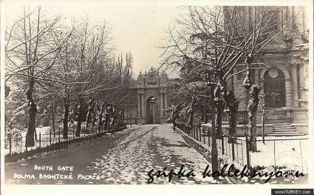Doolmabahce Palace North Turtle